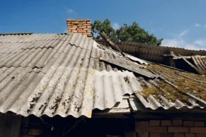 Asbestos Surveys in Maritime, Asbestos Removal Service in India