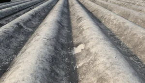 asbestos removal