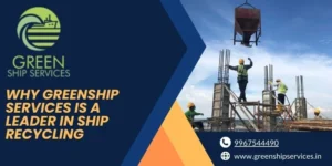 asbestos removal service in India