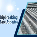 asbestos removal service in India, ship recycling service in India